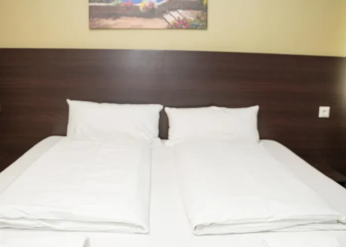 Star Hotel 3*